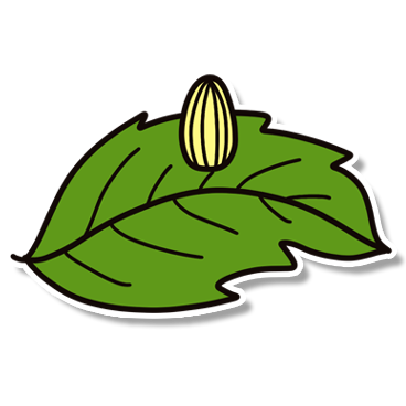 Obrázek 1