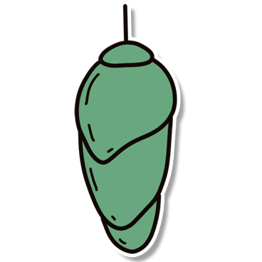 Obrázek 3