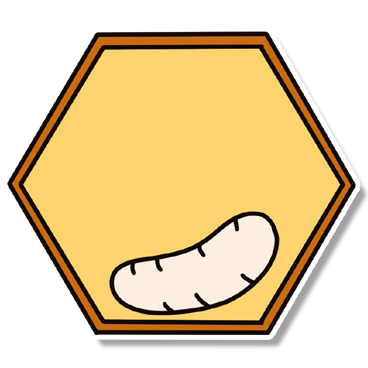 Obrázek 1