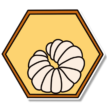 Obrázek 2