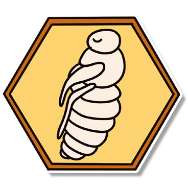 Obrázek 3